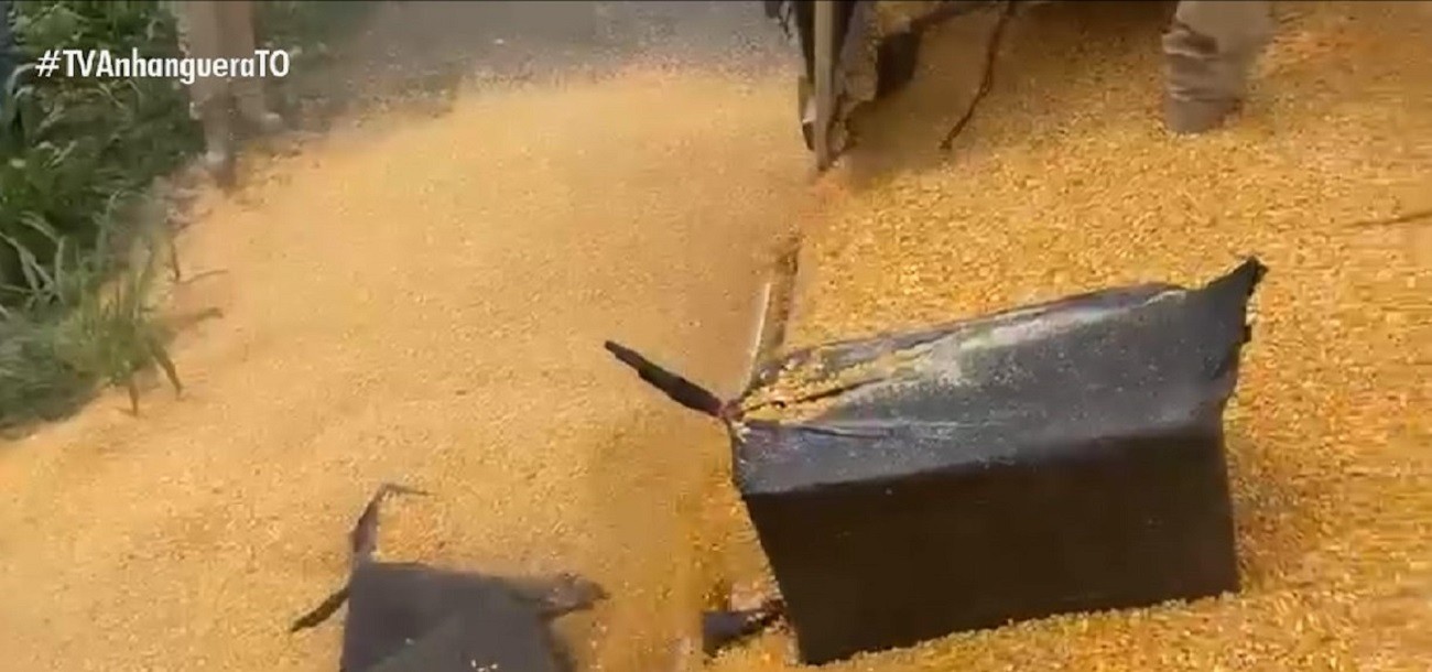 PRF apreende quase meia tonelada de cocaína em caminhão carregado de milho na BR-153