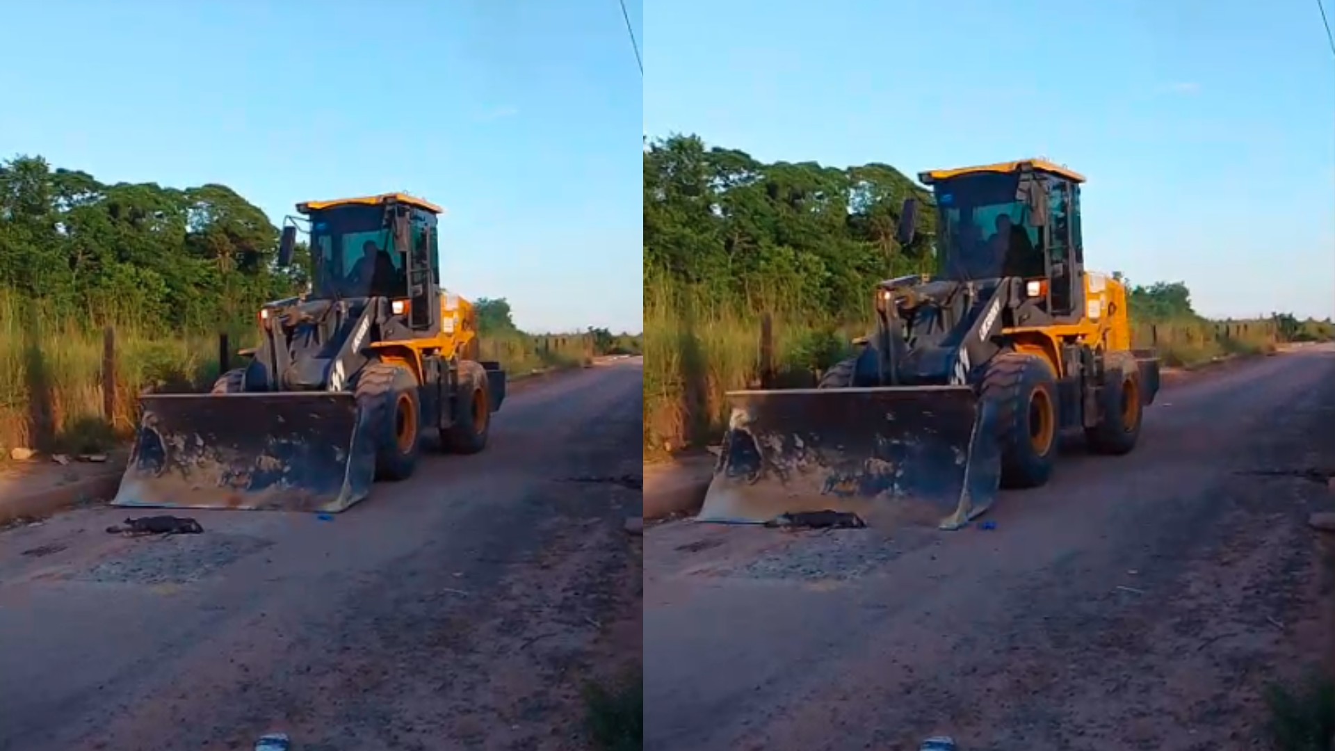 Homem em trator atropela e mata cachorro no Pará; VÍDEO