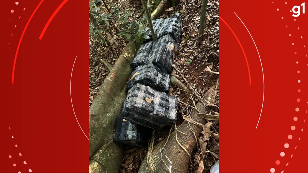 Parte da droga estava enterrada em uma propriedade rural de Alvorada — Foto: Polícia Civil/Divulgação