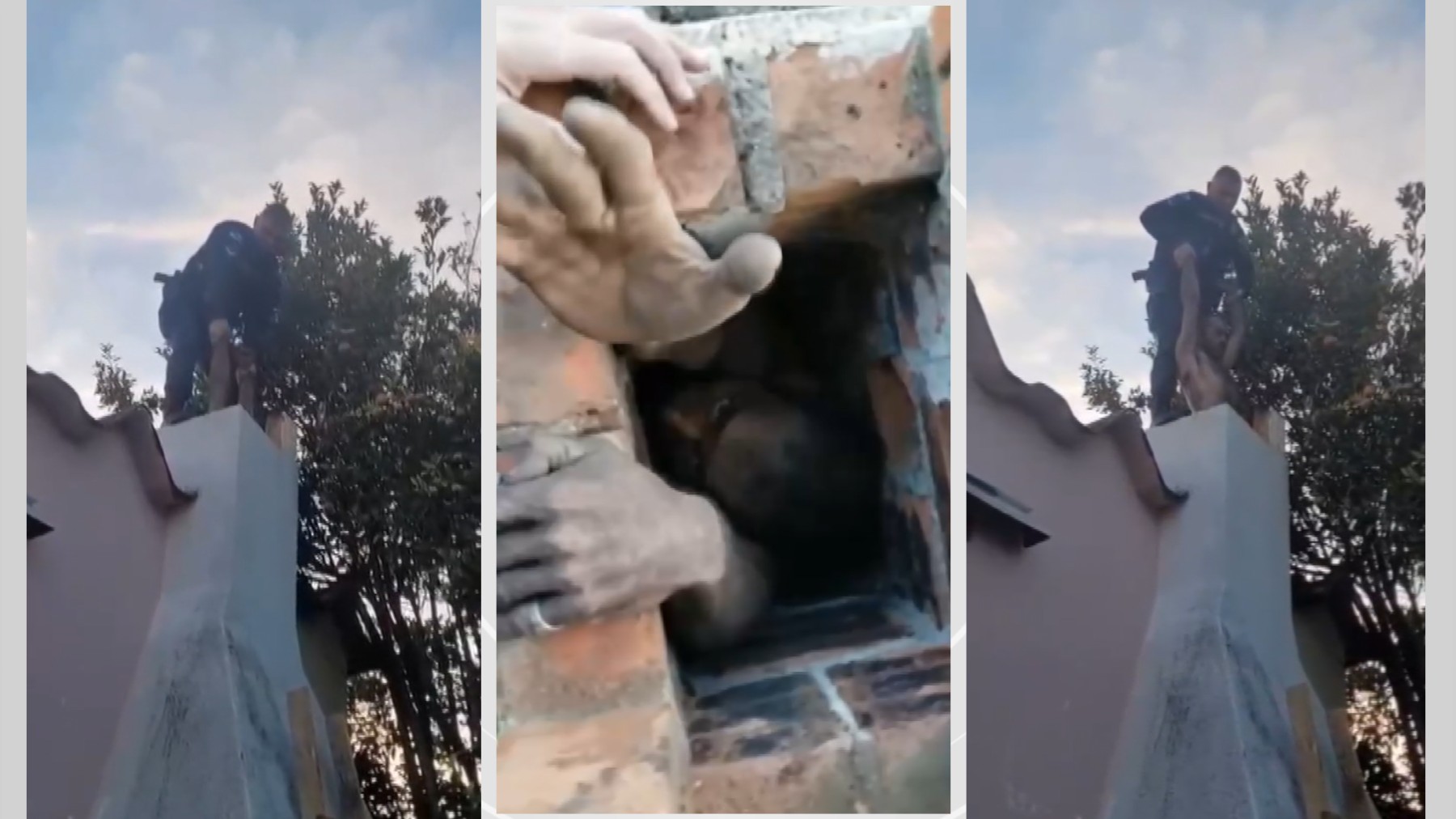 Vídeo mostra resgate de ladrão que ficou entalado em chaminé e foi preso após gritar por socorro, no Paraná