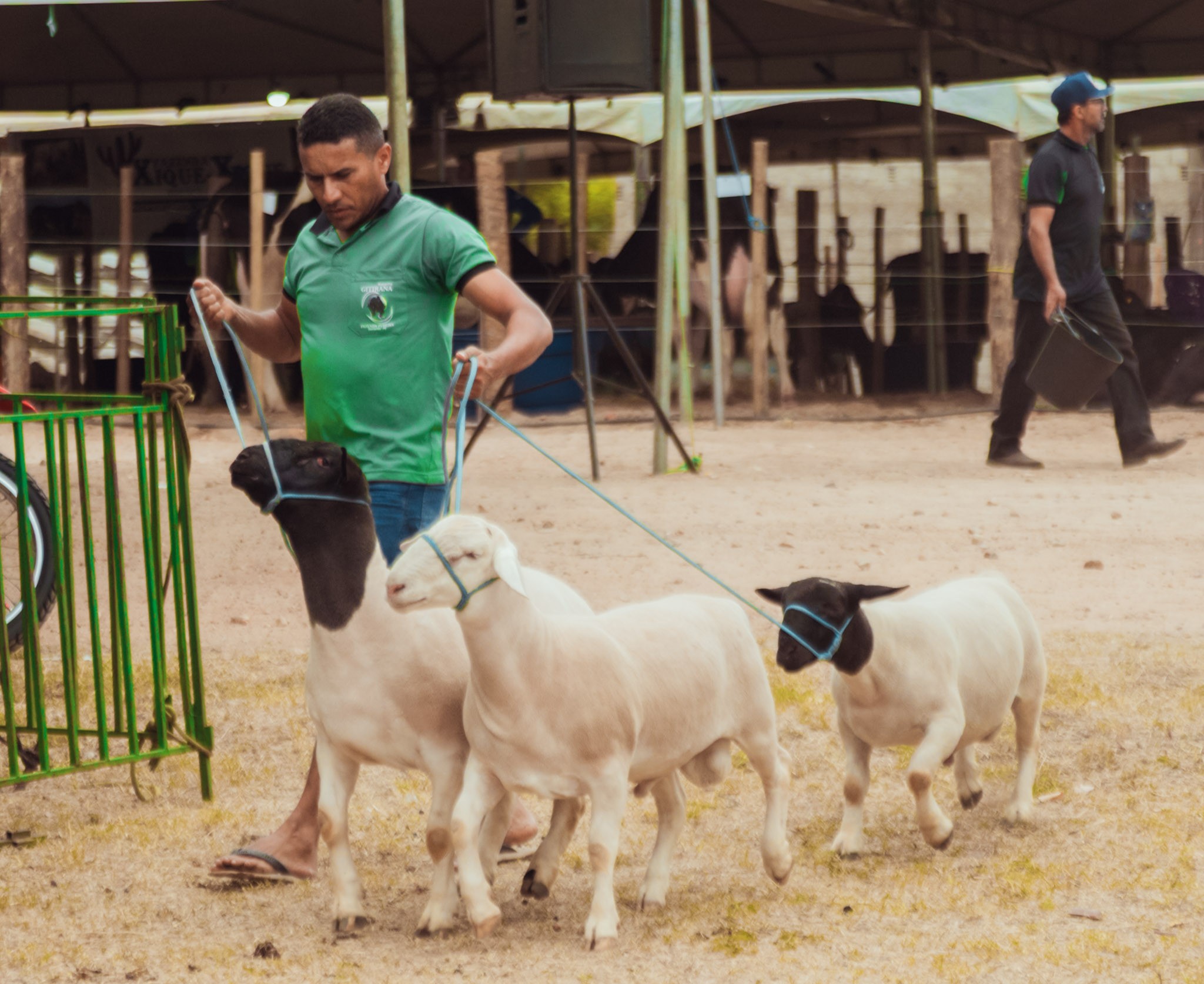 ExpoGranito 2026 é cancelada por causa da seca no Sertão de Pernambuco