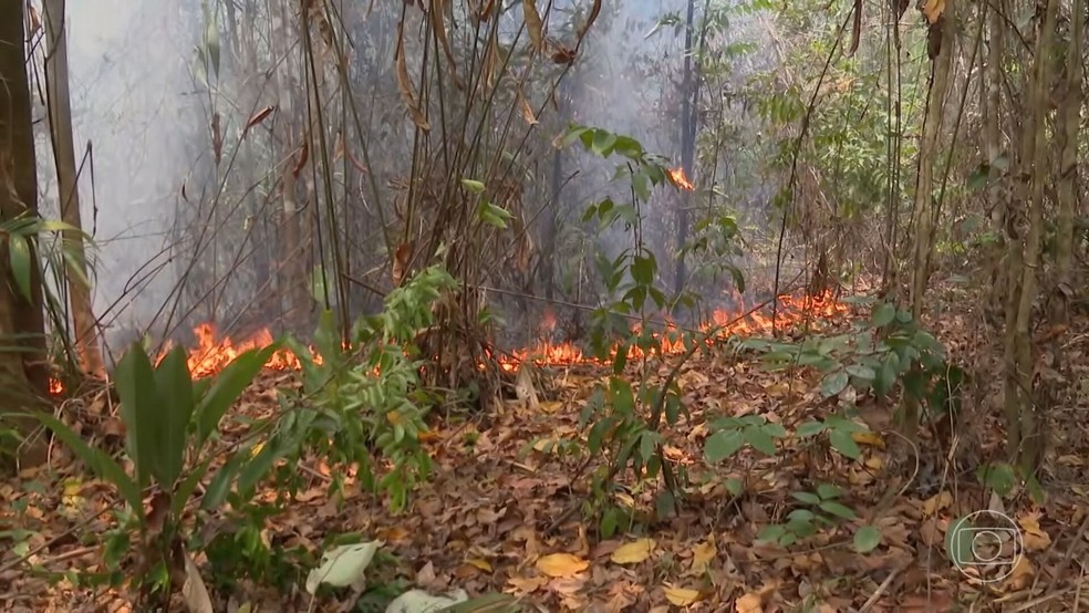 Há mais de 20 dias, incêndio destrói a maior reserva indígena do MA — Foto: Reprodução/TV Globo