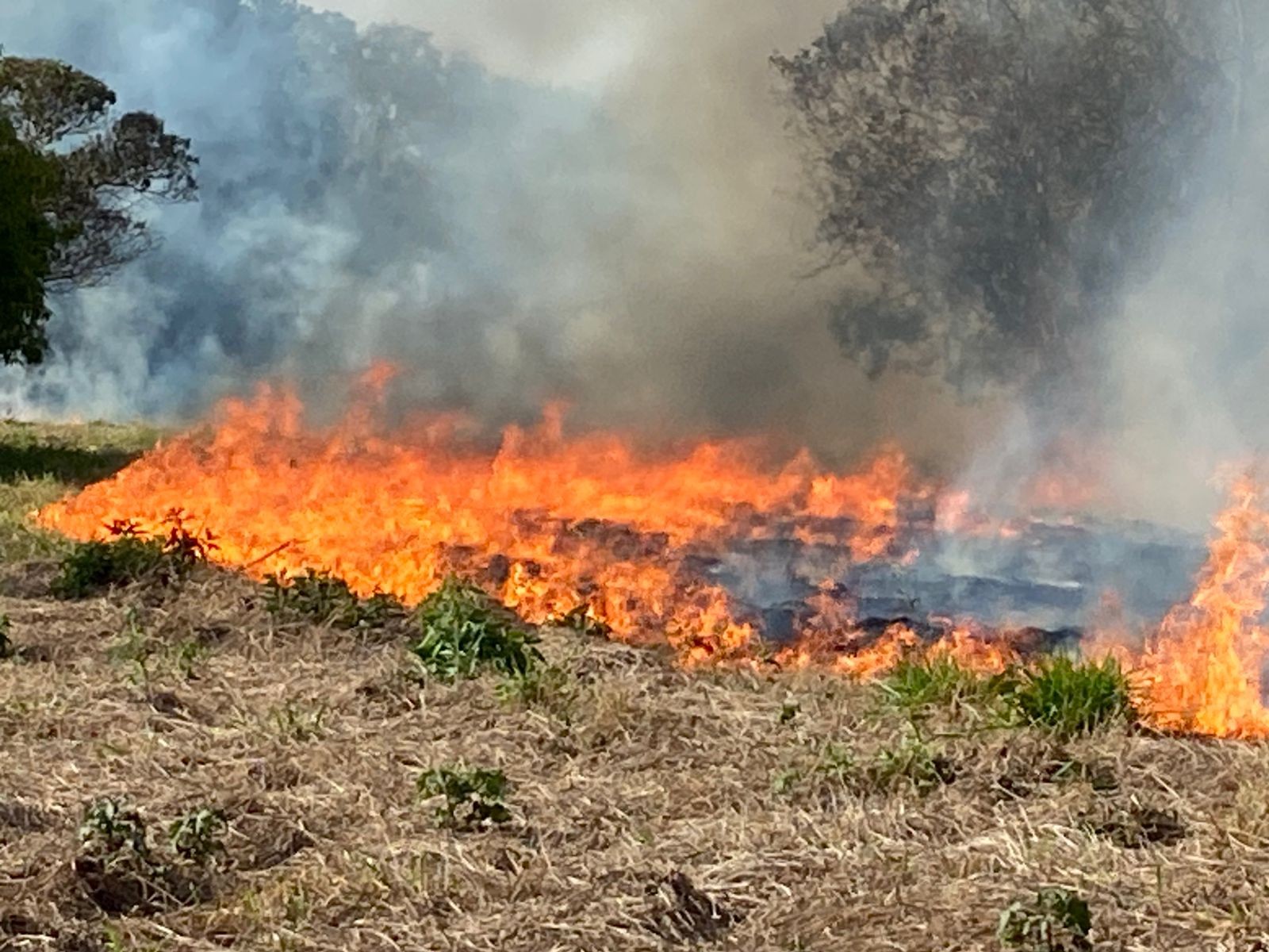 Incêndio chega a dois dias e atinge três hectares e meio de mata em Piracicaba