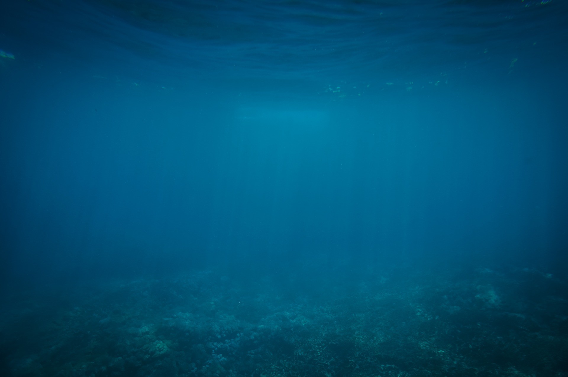 Por que o oceano está ficando mais escuro?