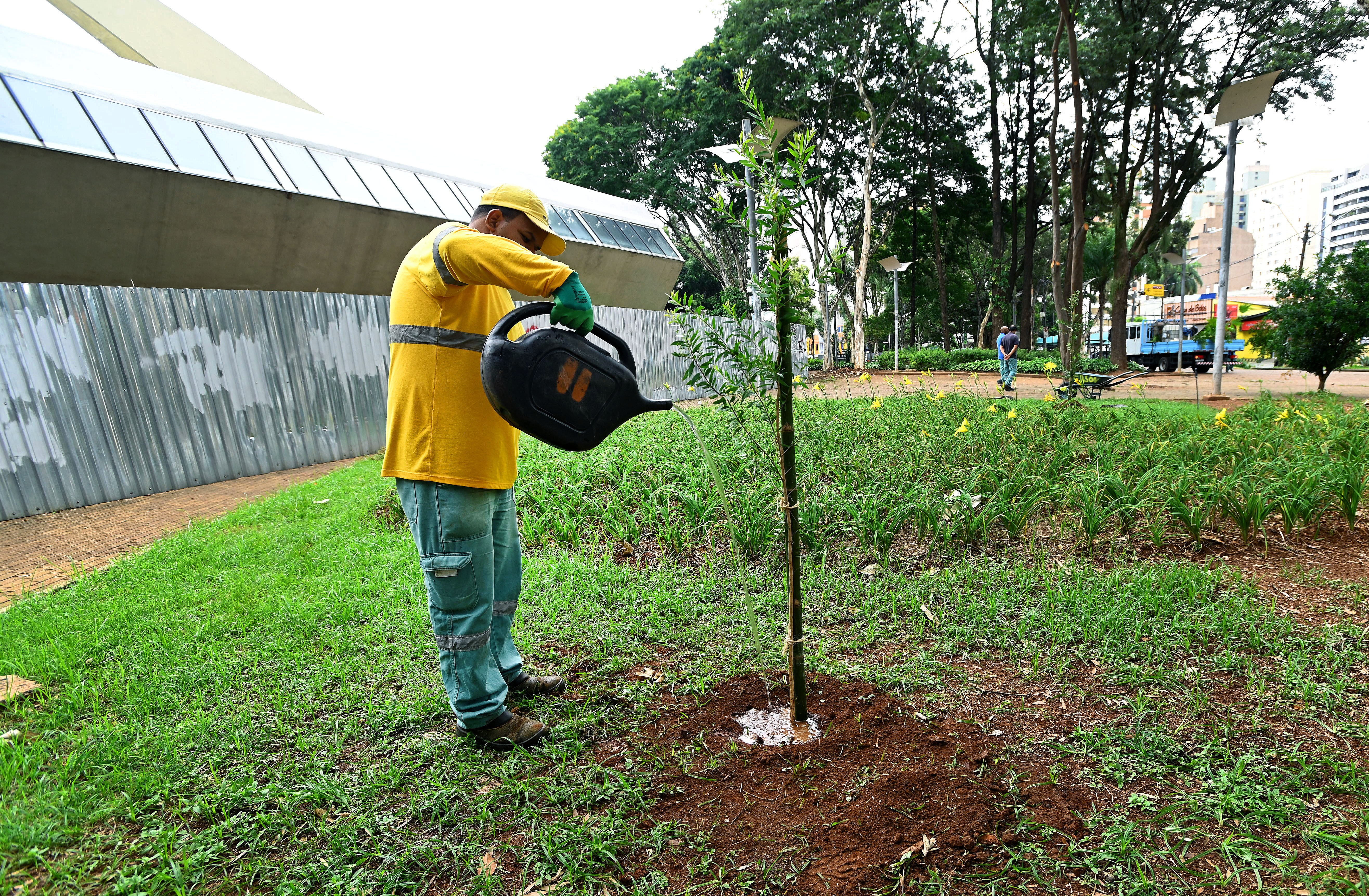 Após retirar árvores com risco de queda, Campinas inicia plantio de 18 novas espécies no Centro de Convivência