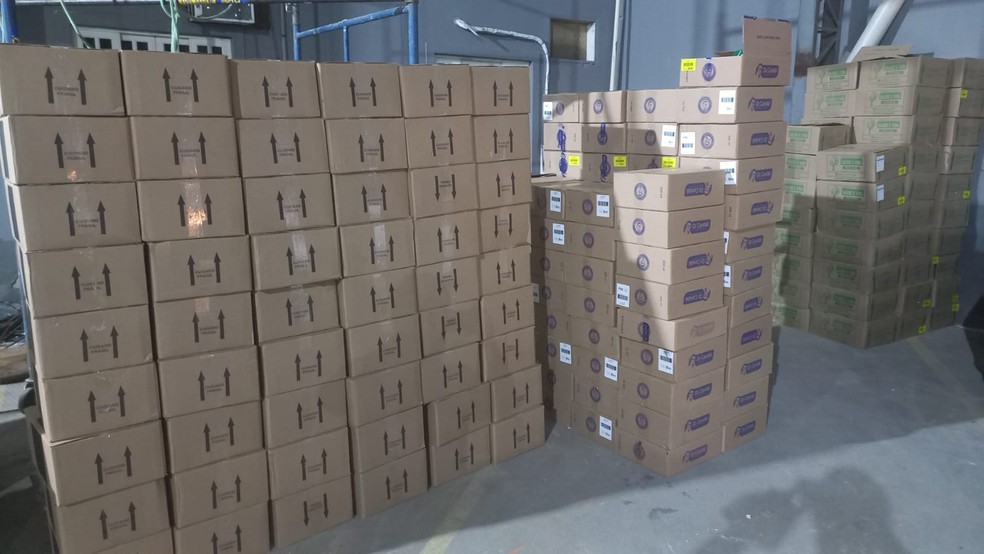 Foram cerca de 10 toneladas de materiais para fabricação de medicamentos apreendidos, segundo a PF — Foto: Polícia Federal/Divulgação