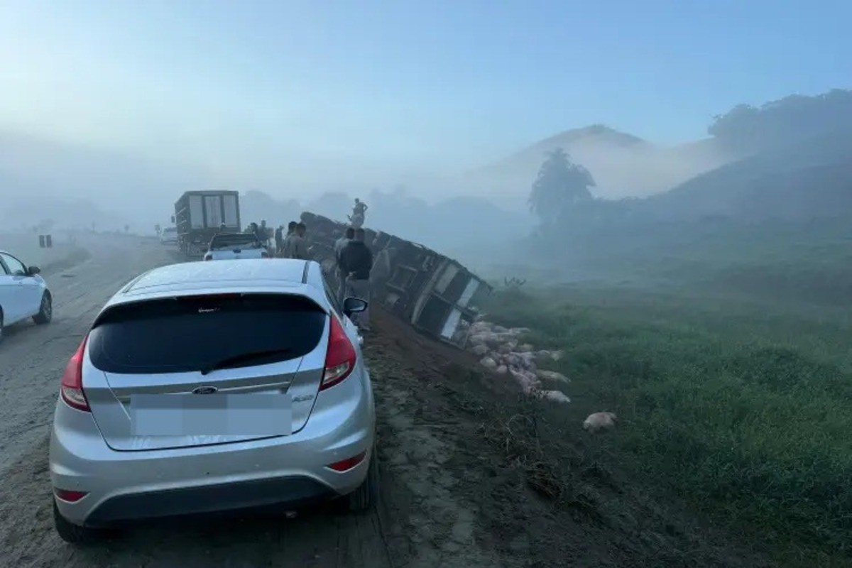 VÍDEO: Caminhão carregado com 140 porcos tomba na BR-356