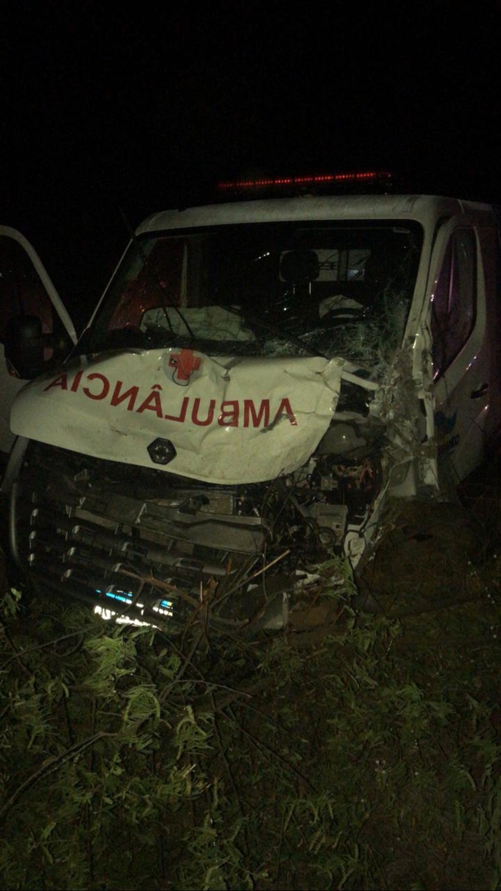 Ambulância atingiu animal e caminhão na BR-427 — Foto: Redes sociais