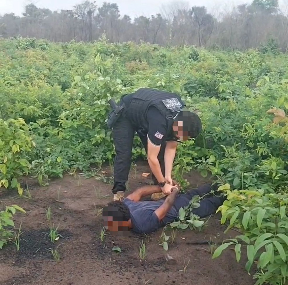 Os policiais conseguiram localizar o investigado em uma  área de mata fechada, no  povoado Brejinho do Ismael, zona rural de Parnarama. — Foto: Divulgação/Polícia Civil do Maranhão