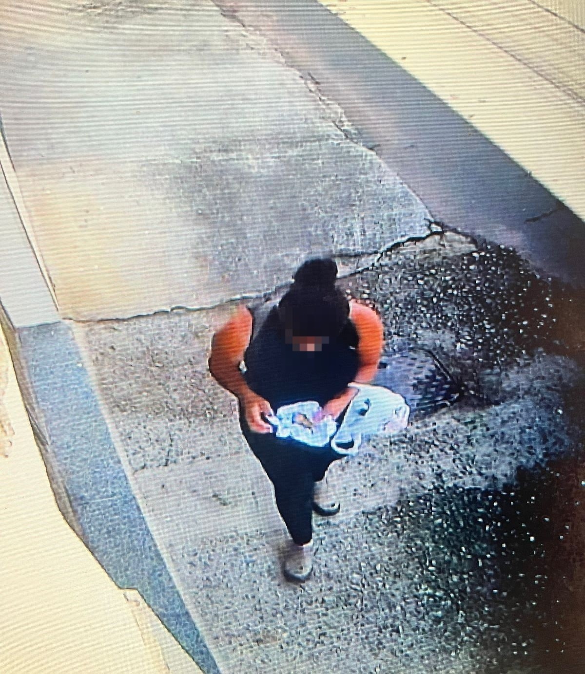 Mulher suspeita de envenenar cachorros é solta em Juiz de Fora