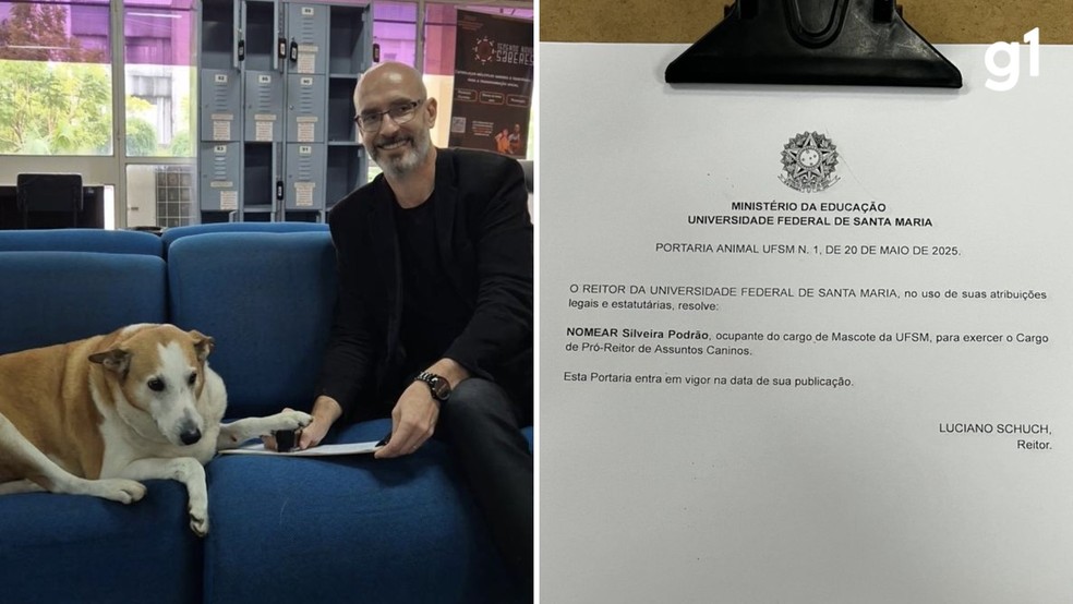 'Nomeação' do cão Silveira como pró-reitor de assuntos caninos foi publicada pela UFSM nas redes sociais — Foto: Reprodução/Redes sociais