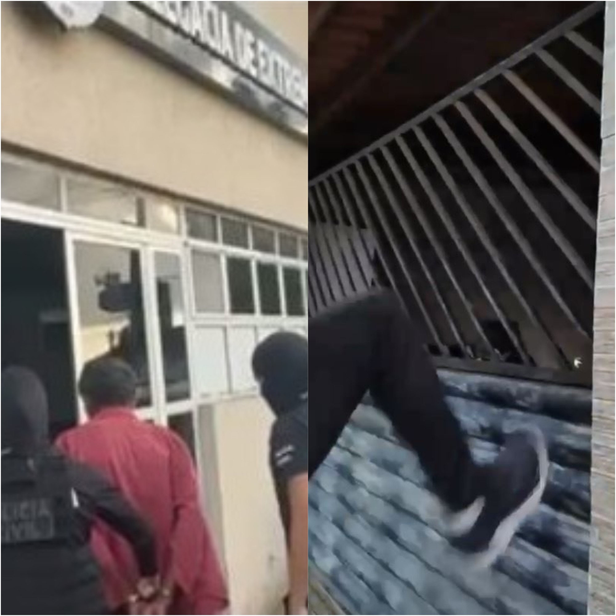 Idoso é preso na Grande Natal suspeito de produzir e compartilhar material de abuso infantil