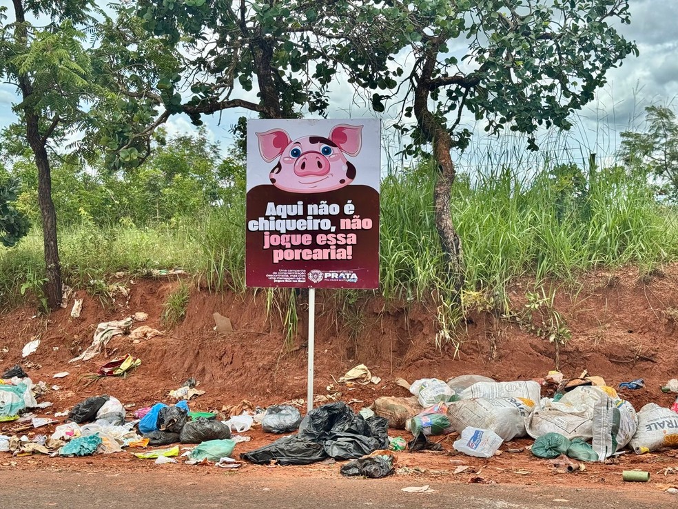 Além da placa do 'corno', Prefeitura também apostou em placa dos porcos para evitar o descarte irregular do lixo — Foto: Divulgação