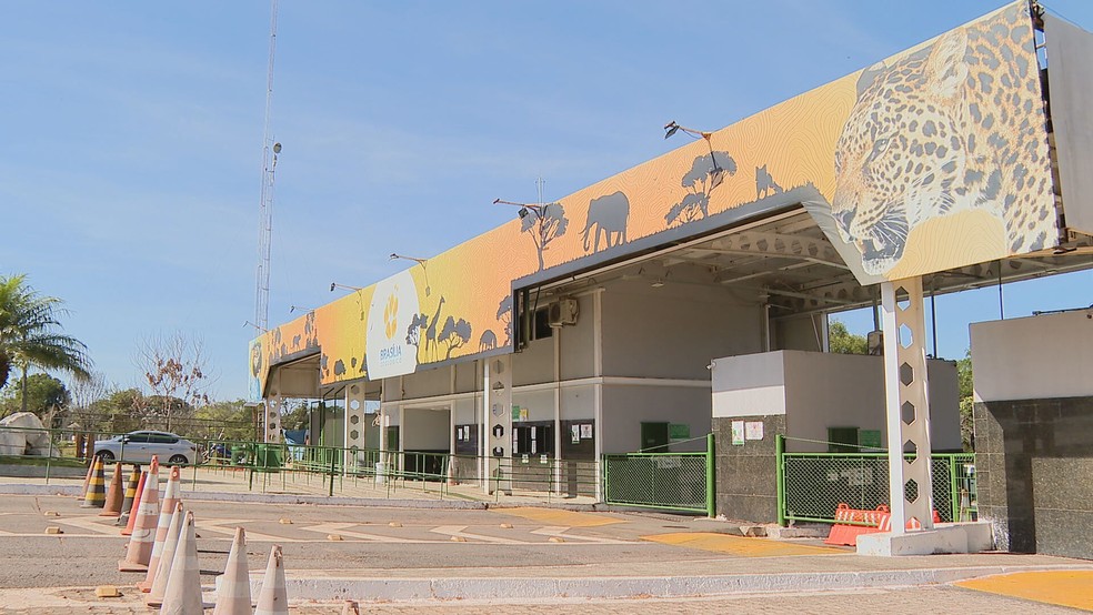 Zoológico de Brasília com programação gratuita para este sábado (26) e domingo (27). — Foto: TV GLOBO/Reprodução