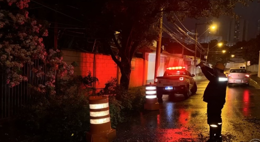 Jundiaí (SP) teve ocorrências de queda de árvores após temporal — Foto: Defesa Civil/Divulgação