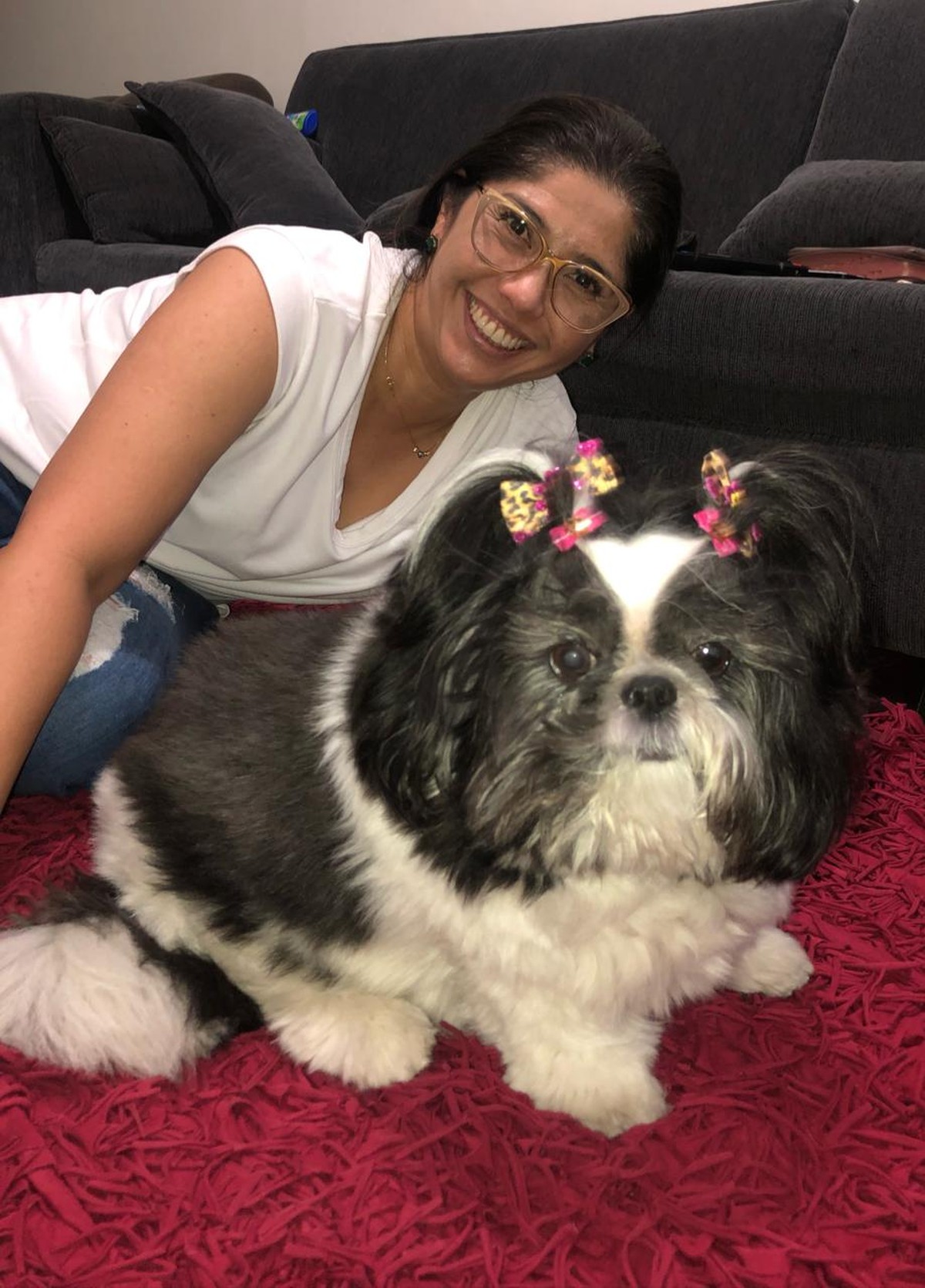 Gripe canina conheça os sintomas e os tratamentos Mundo Pet G1