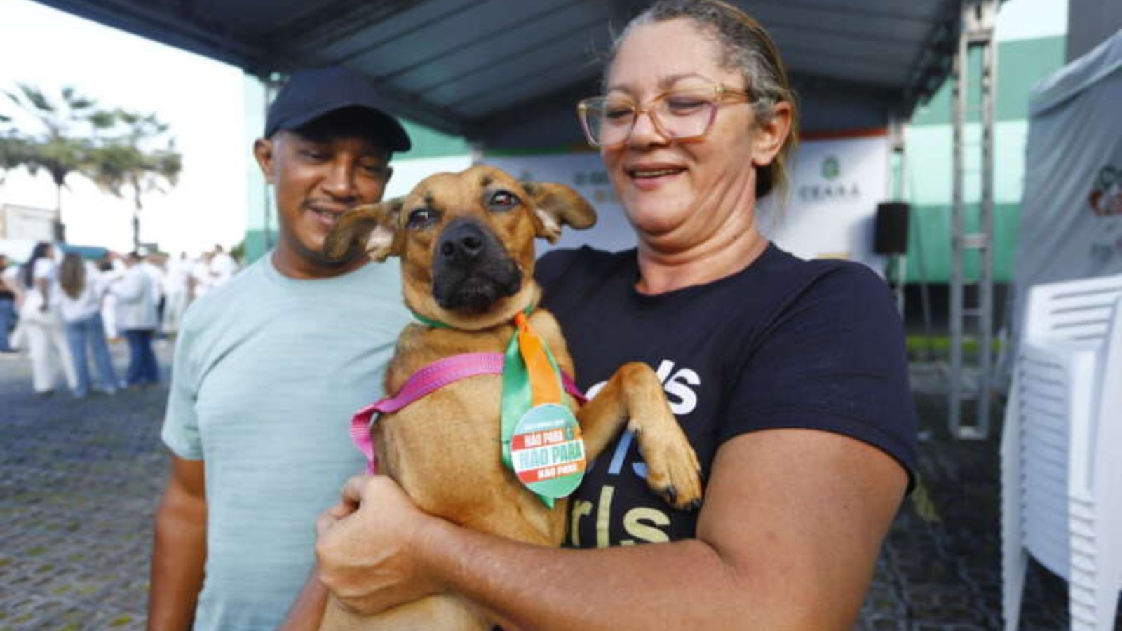 Pet Ceará Móvel realiza castração gratuita de animais na Arena Castelão, em Fortaleza