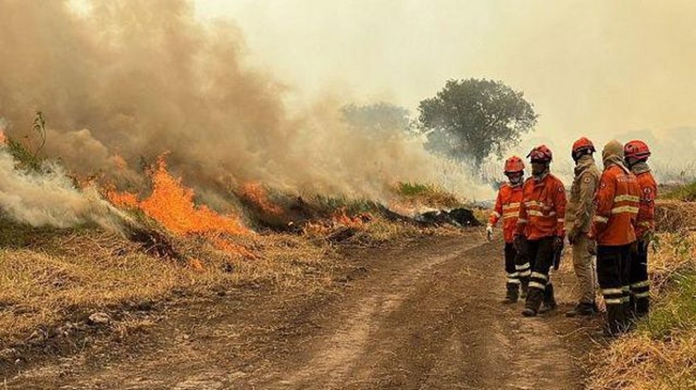 Bombeiros tentam controlar um foco de incêndio no Pantanal no dia 13 de novembro de 2023 — Foto: GETTY IMAGES via BBC