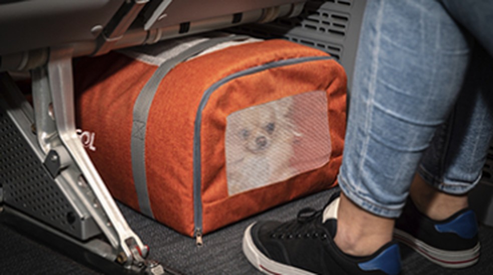 Animal deve permanecer dentro da caixa de transporte, abaixo do assento a frente, nas aeronaves da Gol — Foto: Gol/Divulgação