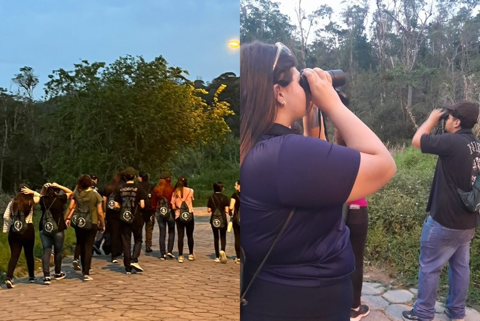 7 de 8
Comdema mantém projetos de educação ambiental com crianças e adolescentes na região de Tapiraí (SP) — Foto: Arquivo Pessoal