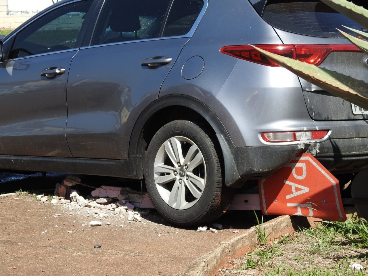 Jovem bate carro, atinge coqueiro e derruba placa em acidente no interior de SP