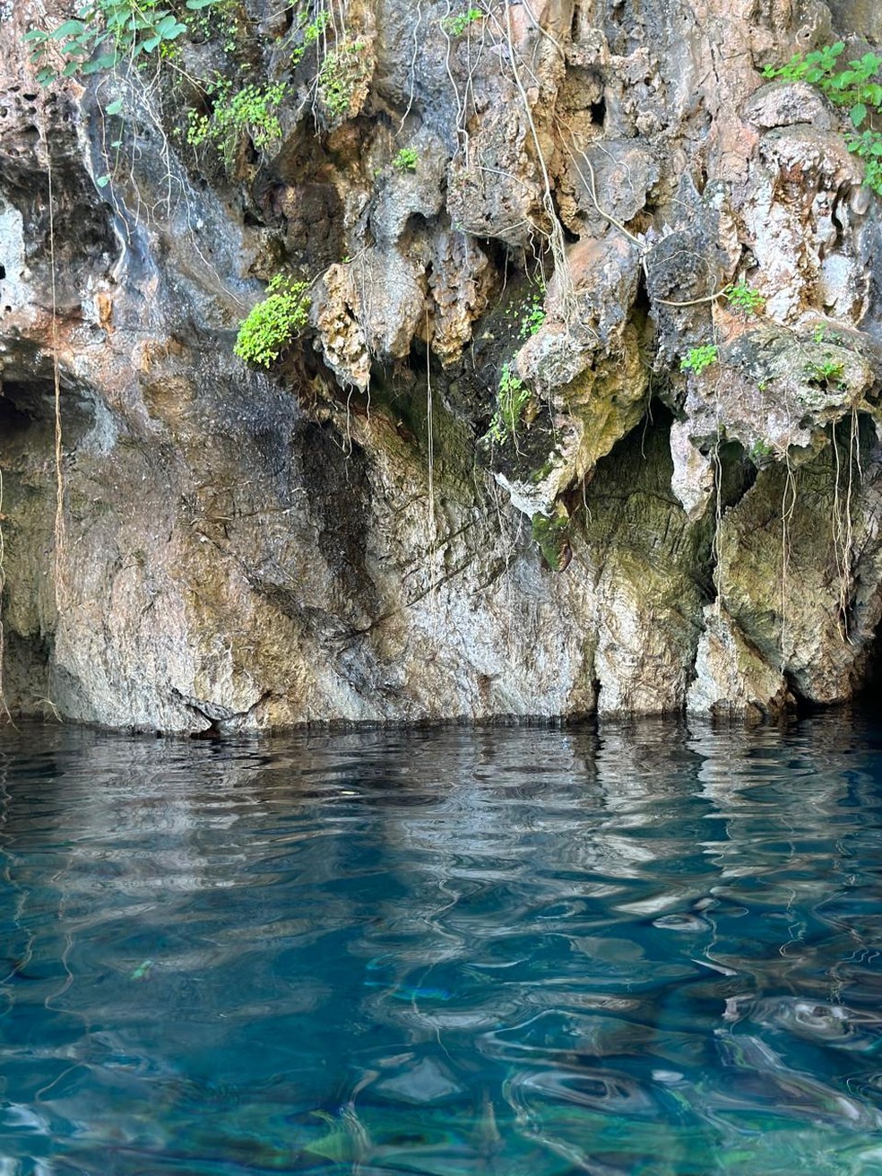 Águas azuis na lagoa do Japonês em Pindorama — Foto: Evandro Mendes/TV Anhanguera