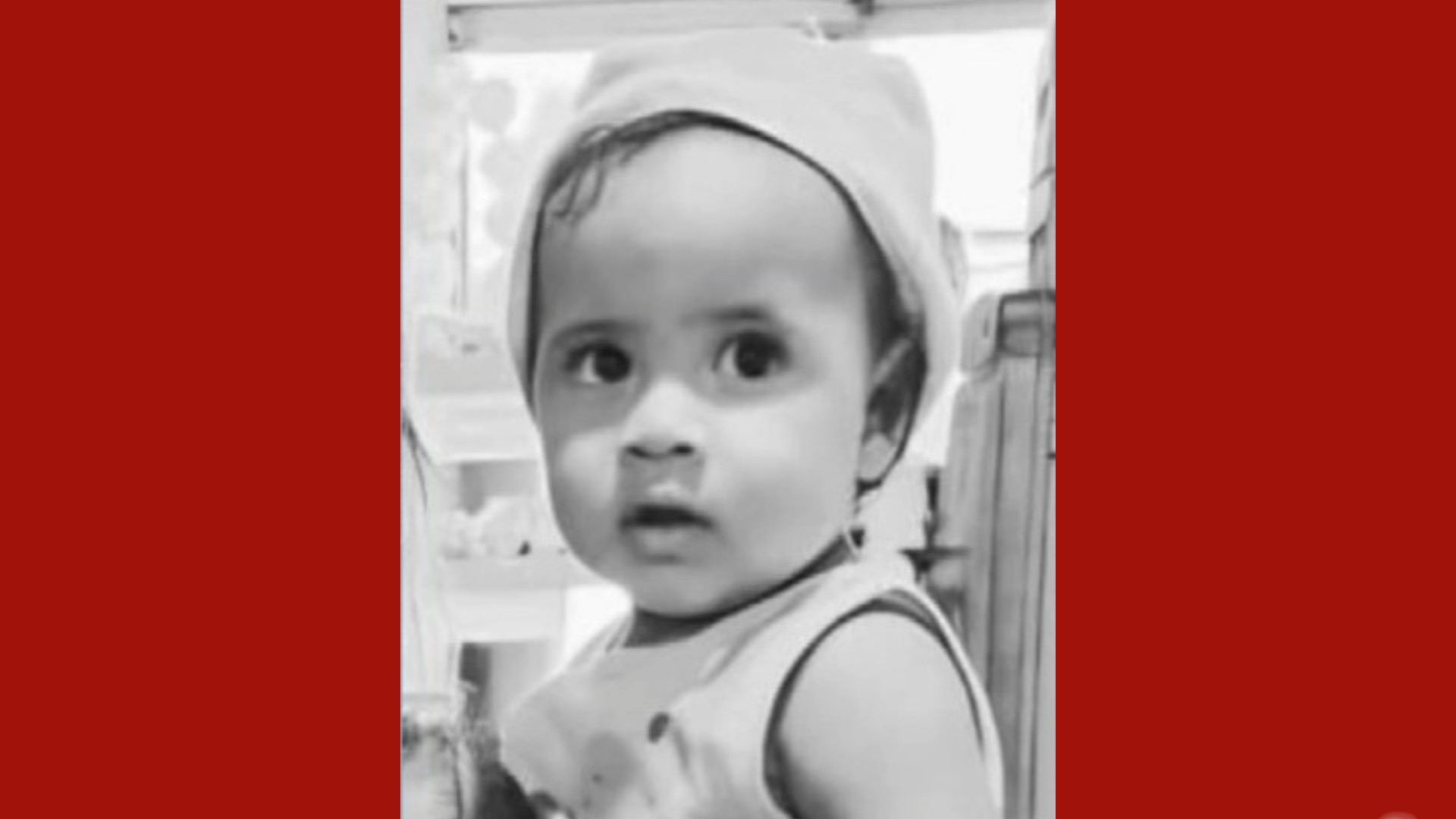 Criança de dois anos morre após ataque de abelhas no Pará