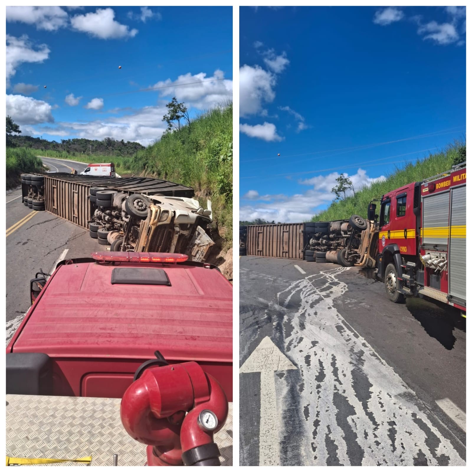 Caminhão carregado com bois tomba na BR-365 e motorista morre