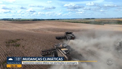 Especialista explica efeitos climáticos nas plantações e pastagens no RS