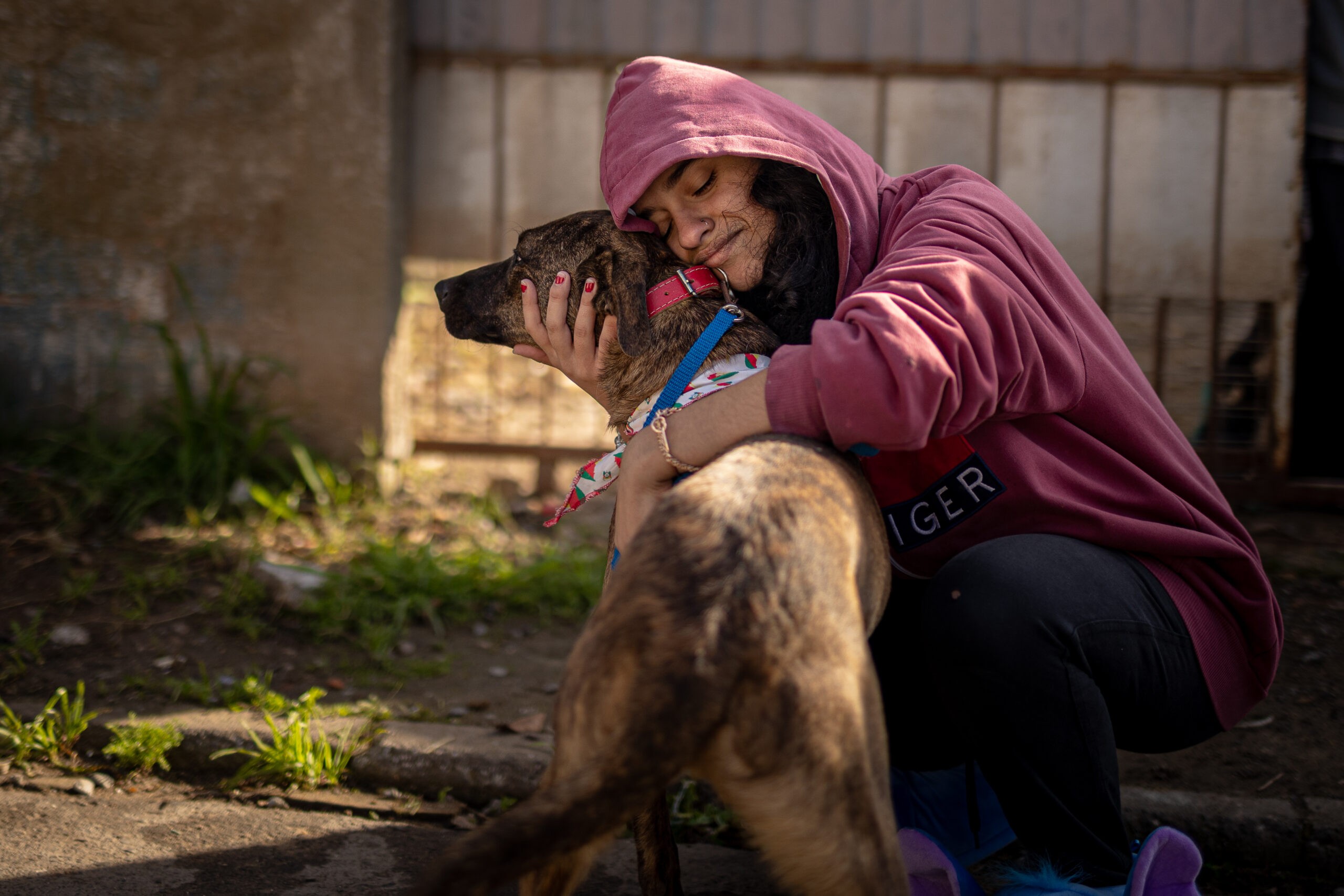Cachorro resgatado há 2 anos em enchente no RS volta para casa após tutora encontrá-lo em lista de desparecidos: 'Reconheci o olhar'