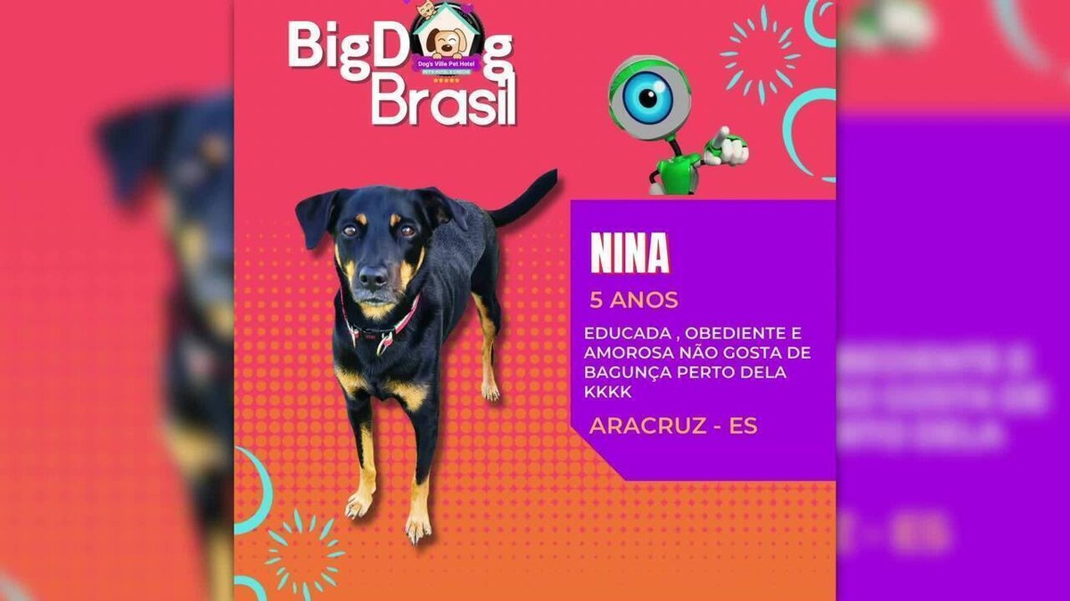 Grupo De WhatsApp Jogo Do Bicho 🐕 - Link De Grupo