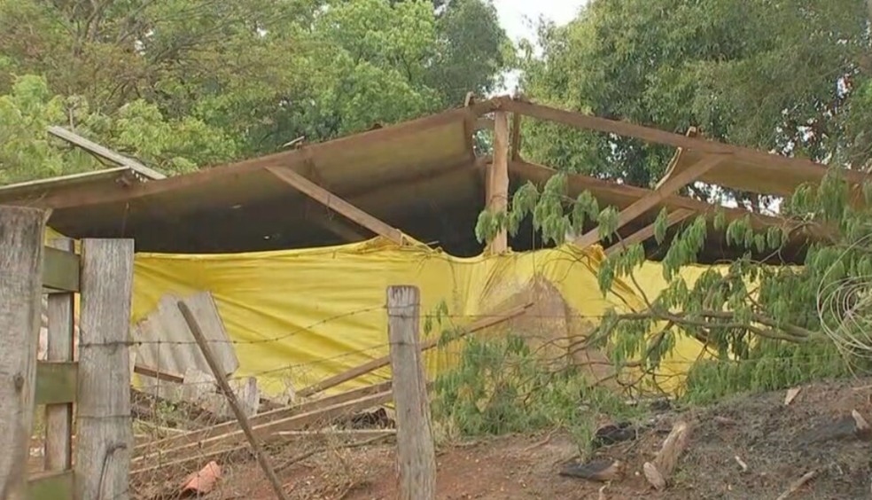 Parte da estrutura de um criadouro de aves caiu com a ventania e precisará passar por reparos — Foto: Reprodução/TV TEM