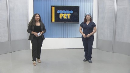 Mundo Pet parte 1: veterinária dá dicas de cuidados com pets