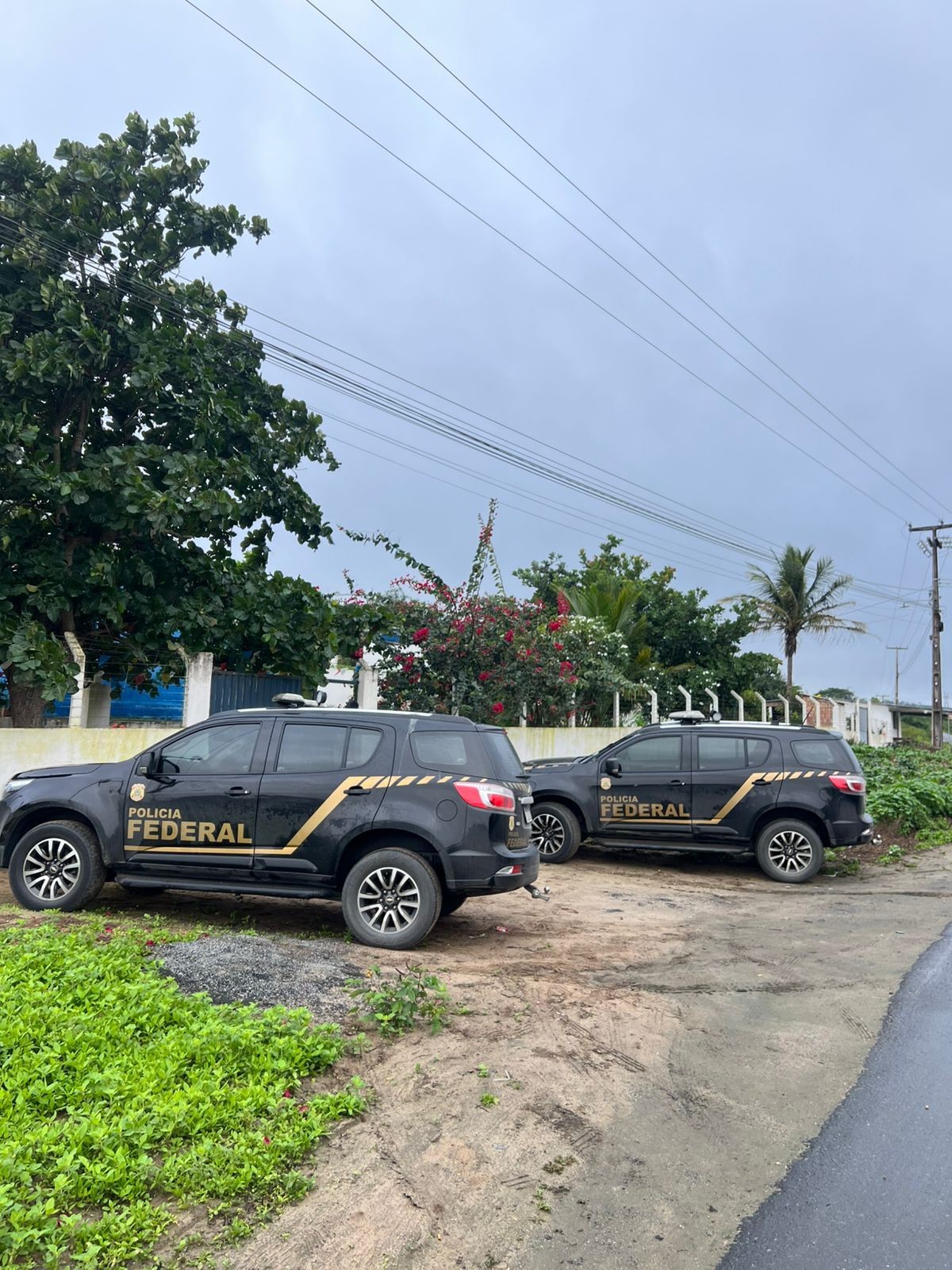 Polícia investiga armazenamento de pornografia infantil