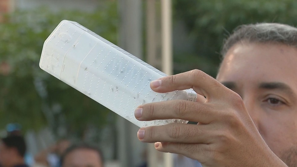 'Aedes do bem' são soltos no Caju, após testes bem-sucedidos em Niterói — Foto: Reprodução/TV Globo