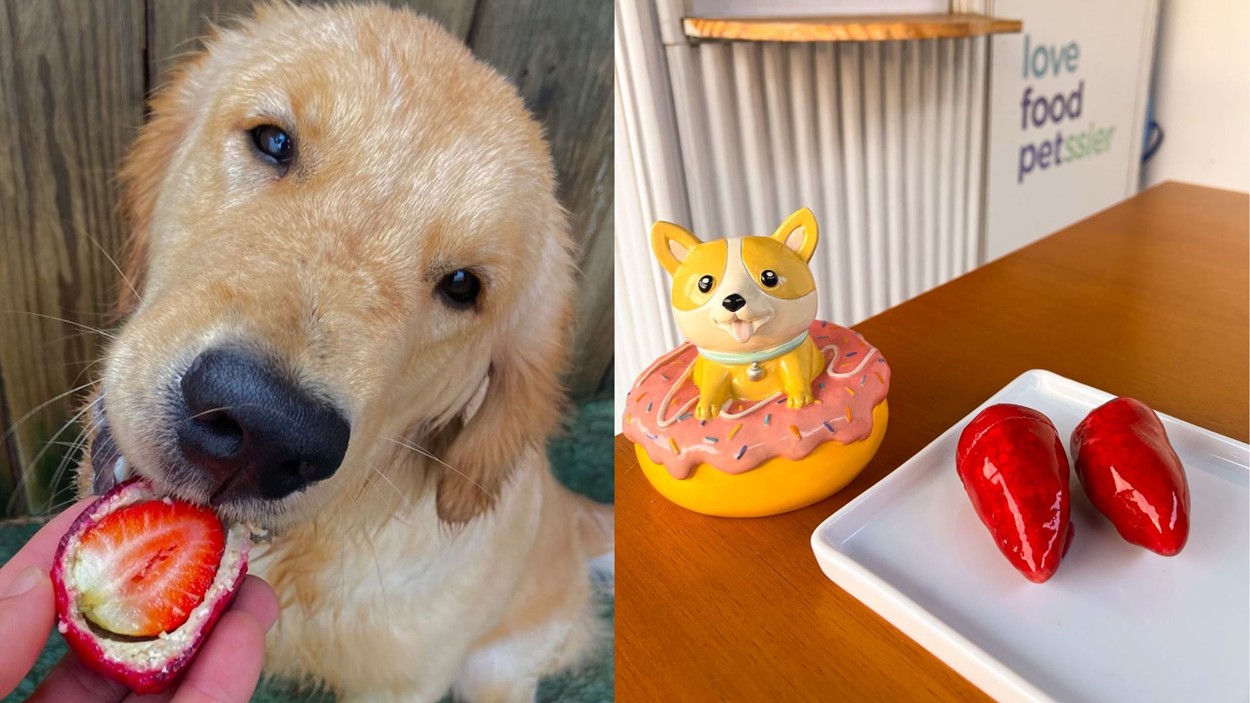 Até os pets querem: confeitaria cria 'Morango do Aumor' inspirado no doce viral