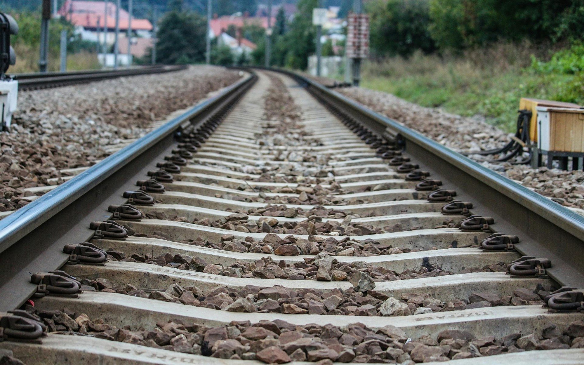 É #FAKE vídeo de cachorro salvando criança de atropelamento por trem na Índia; cena foi feita com inteligência artificial