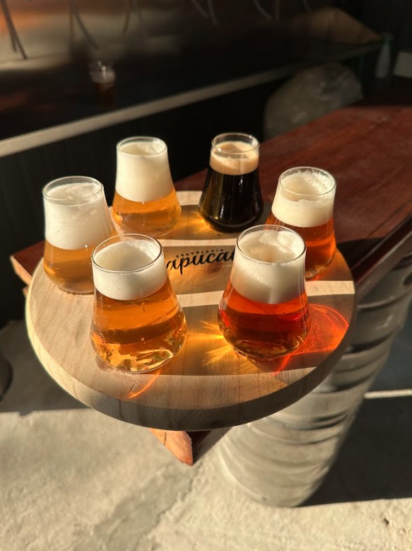 Cerveja artesanal: sabor que impulsiona a economia de São José e Sapucaí-Mirim