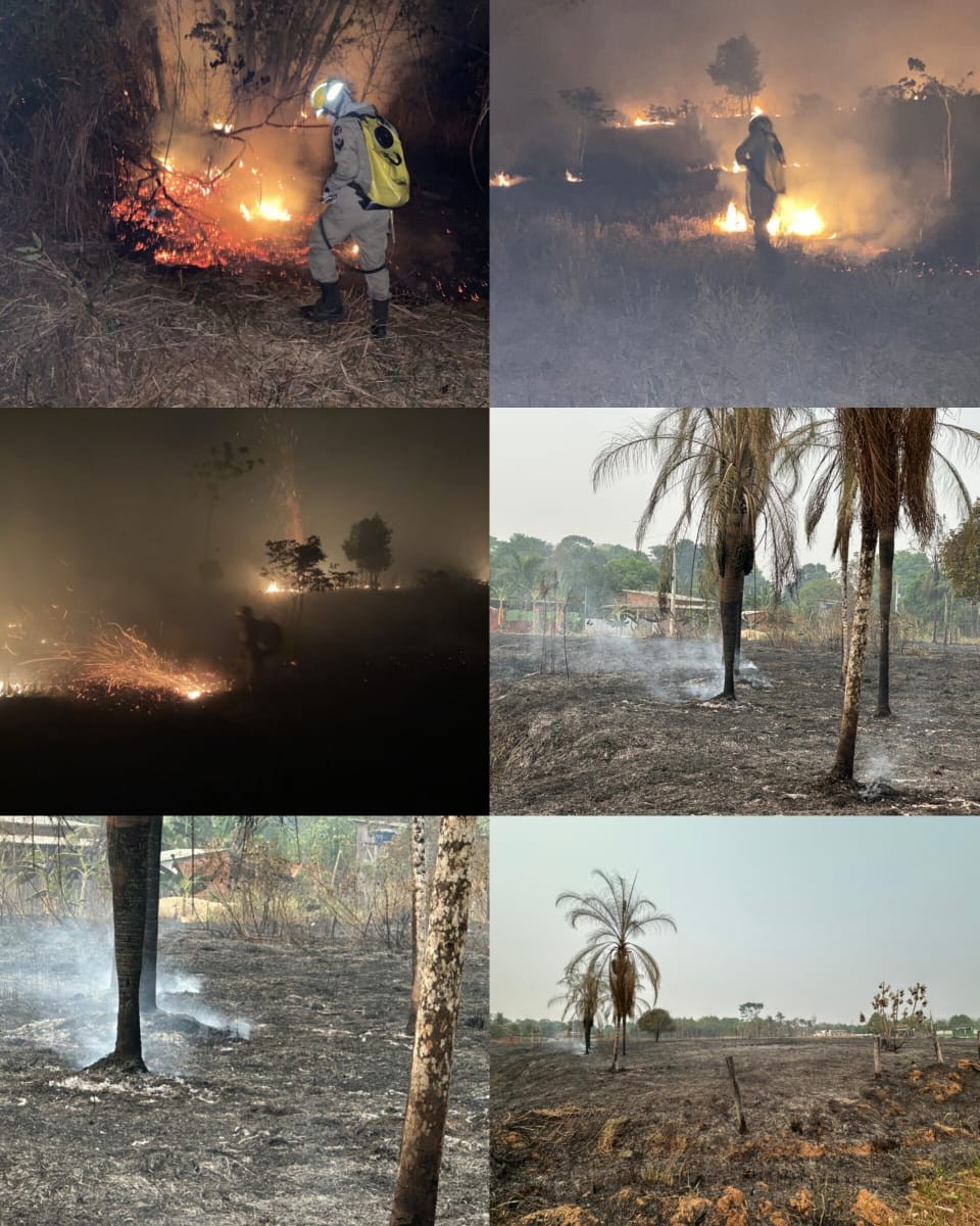 VÍDEO: Incêndio atinge área de 60 hectares próximo de residências em Rio Branco