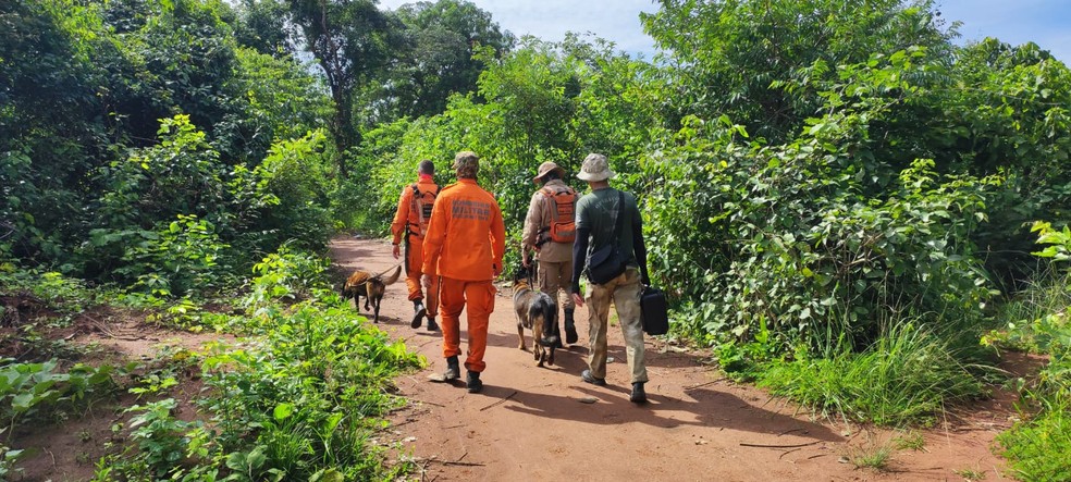 Bombeiros seguem pista de cão farejador. — Foto: Divulgação/ Bombeiros