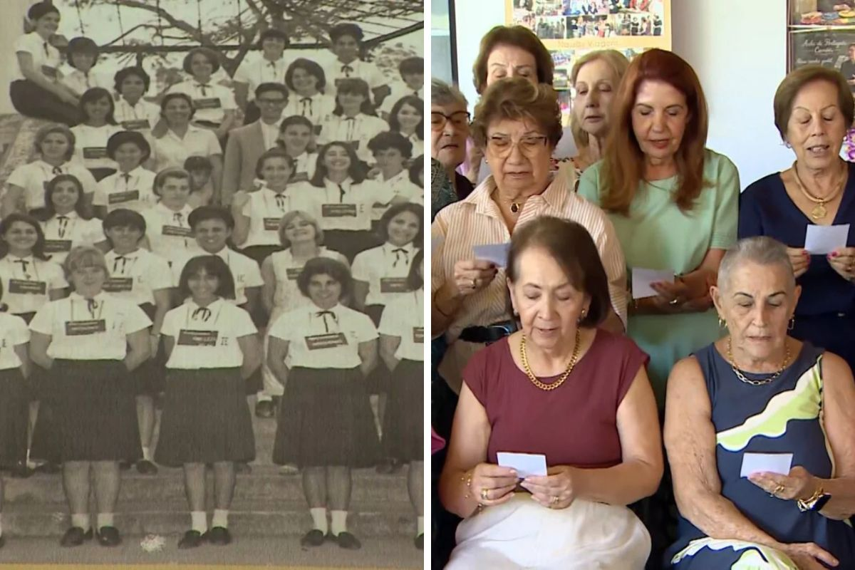 60 anos após a formatura, professoras mantêm amizade pela internet e celebram reencontro: ‘Não deixamos de nos querer bem’