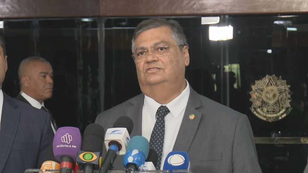 Flávio Dino — Foto: TV Globo/Reprodução