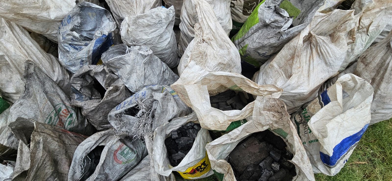 Polícia Ambiental confisca mais de duas toneladas de carvão vegetal armazenadas sem licença em Presidente Epitácio