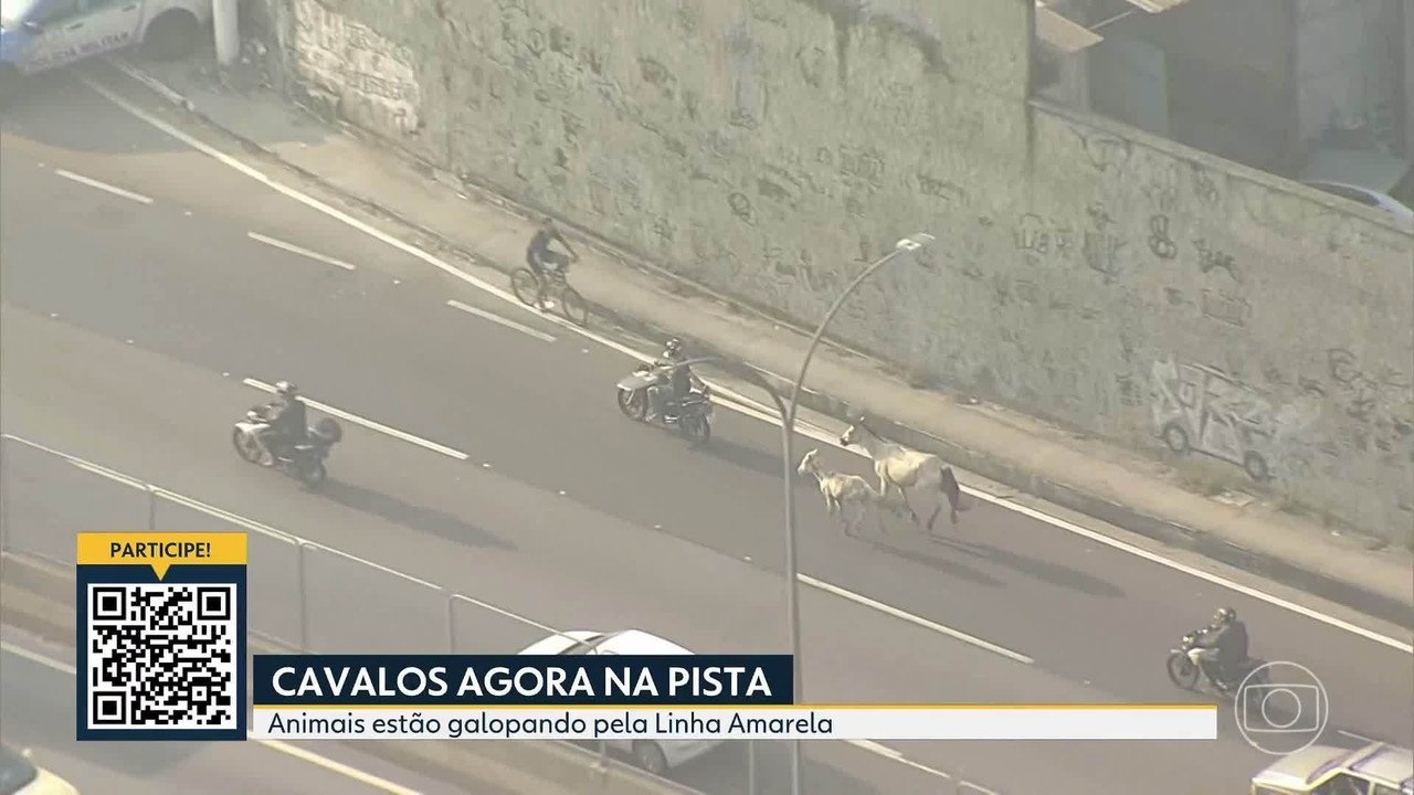Moto puxa égua com corda na Linha Amarela, e potrinho vai atrás; VÍDEO