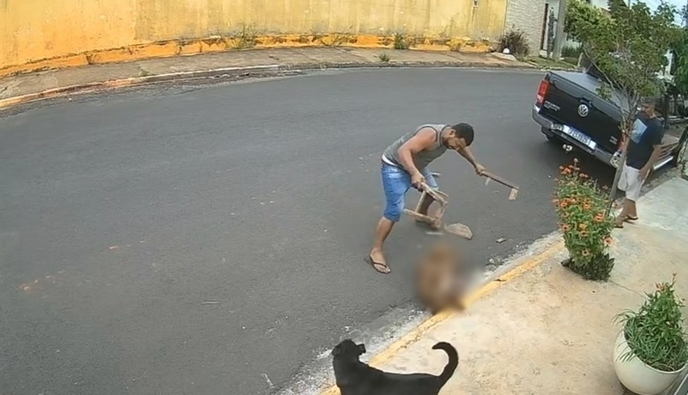 Autor das agressões alegou que pit bull teria atacado o seu cachorro e uma criança — Foto: Câmera de Segurança/Reprodução