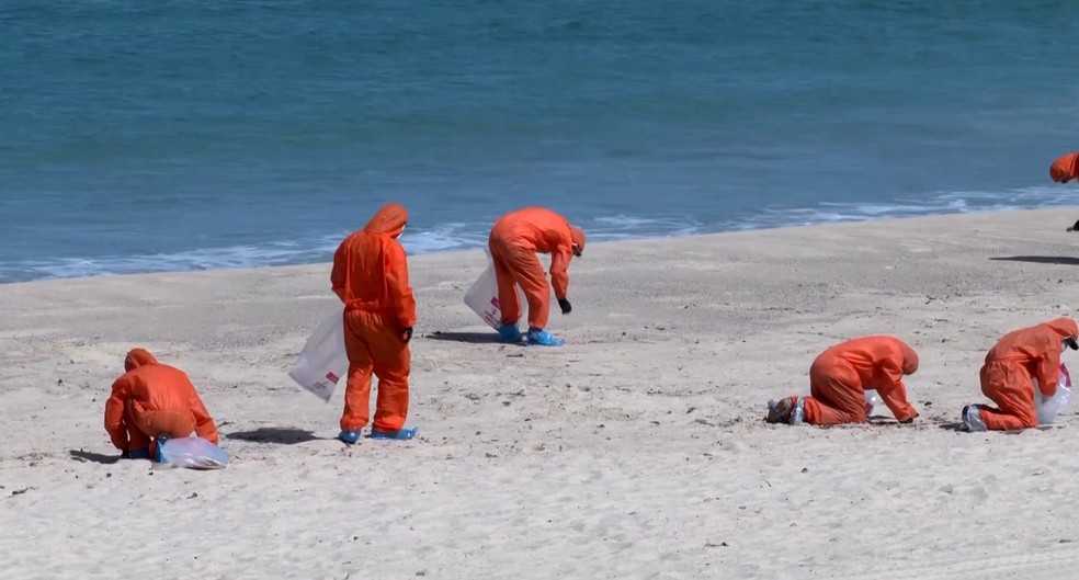 Autoridades australianas recolheram os resíduos encontrados nas praias. — Foto: Corporação Australiana de Transmissão/Reuters/Seven Network