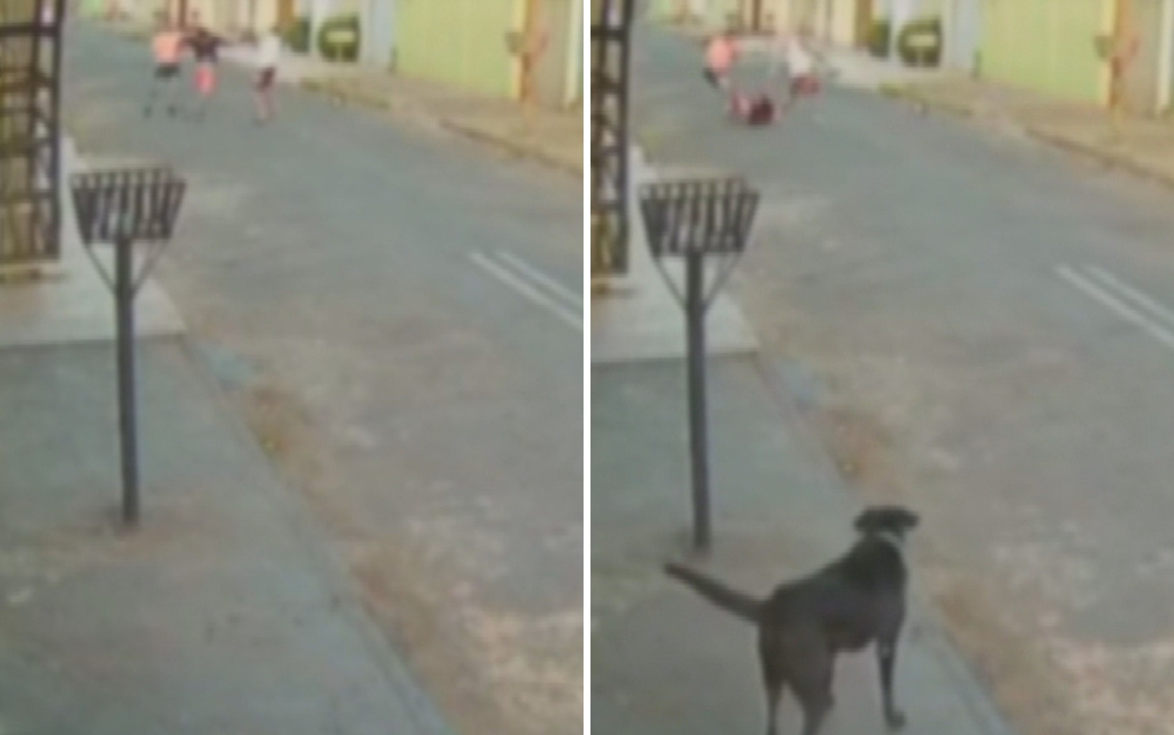 Ladrão é espancado após tentar roubar mulher em rua de Goiás; vídeo