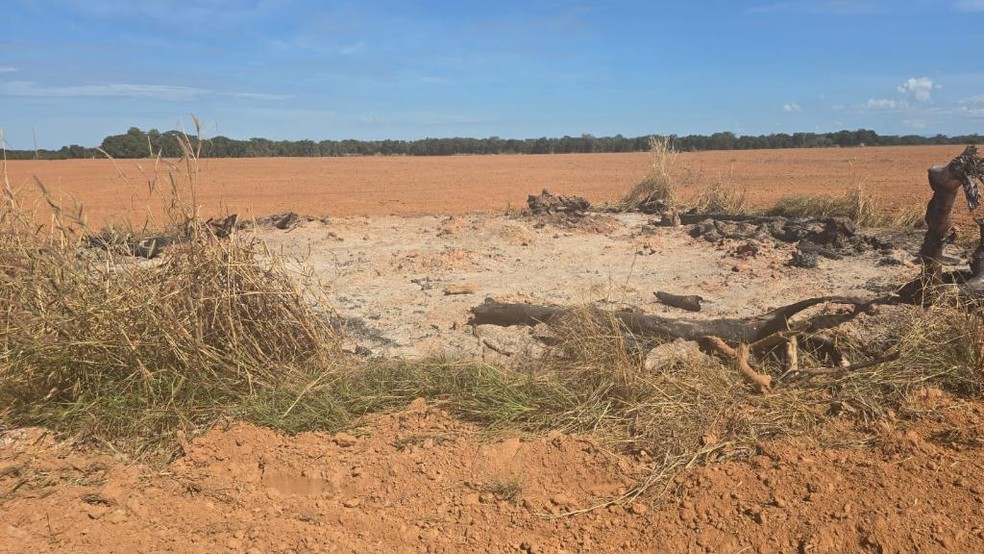 O responsável pela área rural não apresentou licença ambiental válida para a respectiva atividade. — Foto: Reprodução