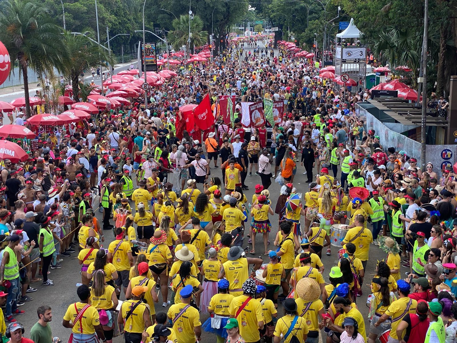 Bloco 'Sargento Pimenta' atrai centenas de foliões no Ibirapuera e celebra Beatles e Elis Regina 