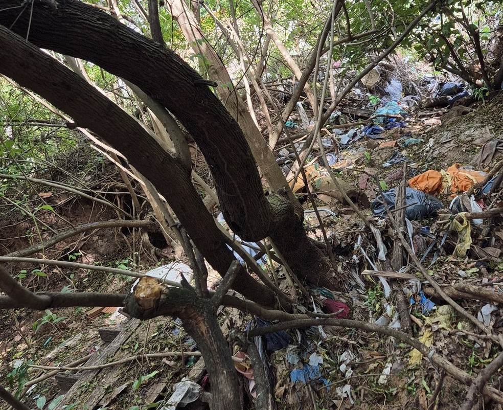 Pai e filho são presos por tráfico de drogas, em Pirapozinho (SP) — Foto: Polícia Civil